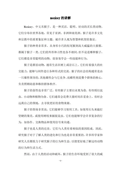 monkey的讲解