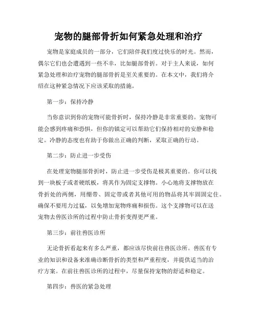 宠物的腿部骨折如何紧急处理和治疗
