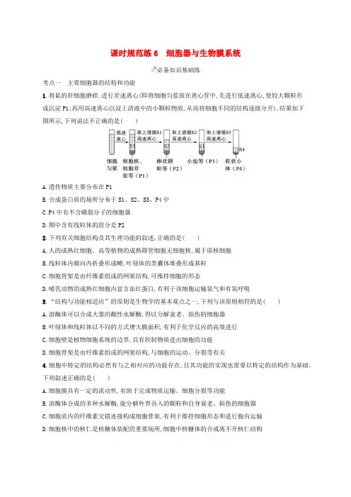 适用于新高考新教材备战2025届高考生物一轮总复习第2单元细胞的基本结构及物质运输课时规范