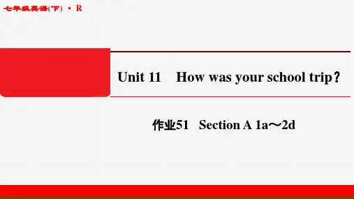 2020年春江苏启东七年级英语下(R)Unit11-作业课件51