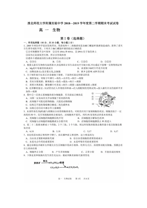 2018-2019学年安徽省淮北师范大学附属实验中学高一下学期期末考试生物试题 扫描版