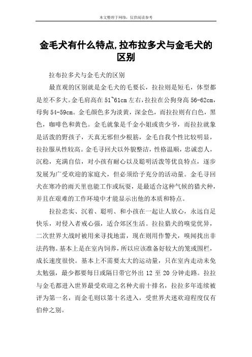 金毛犬有什么特点,拉布拉多犬与金毛犬的区别