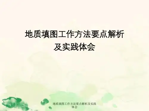 地质填图工作方法要点解析及实践体会