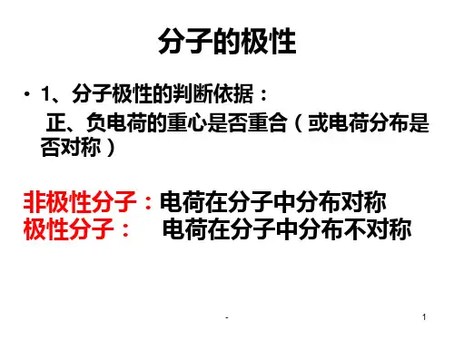 分子的极性(精)PPT课件