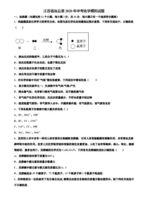 【附20套中考模拟试卷】江苏省连云港2020年中考化学模拟试题含解析