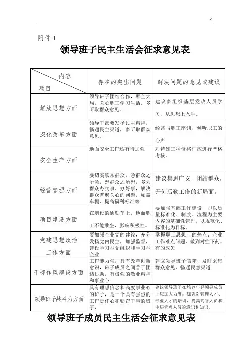 领导班子研讨会征求意见表附加文件