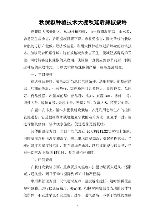 秋辣椒种植技术大棚秋延后辣椒栽培