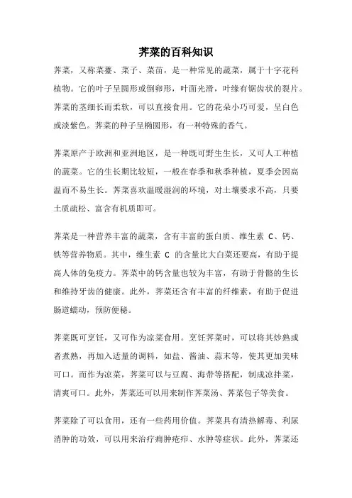 荠菜的百科知识