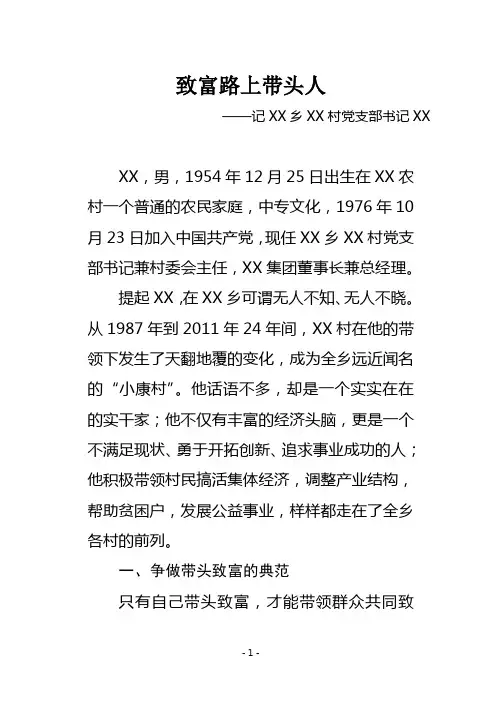 村党支部书记事迹材料
