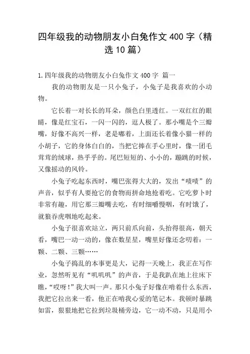 四年级我的动物朋友小白兔作文400字(精选10篇)