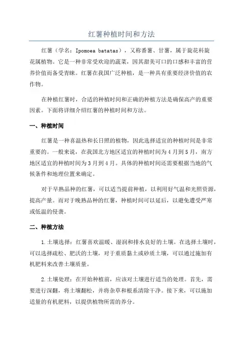 红薯种植时间和方法