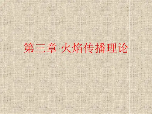 chapte火焰传播理论
