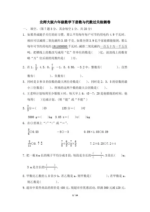 北师大版六年级数学下册总复习专项 数与代数达标检测卷 附答案