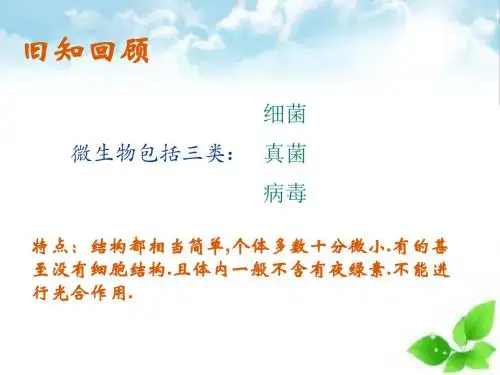 (人教版)酵母菌和霉菌PPT课件(自制)