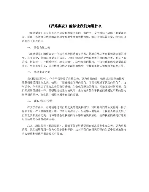 《驿路梨花》能够让我们知道什么