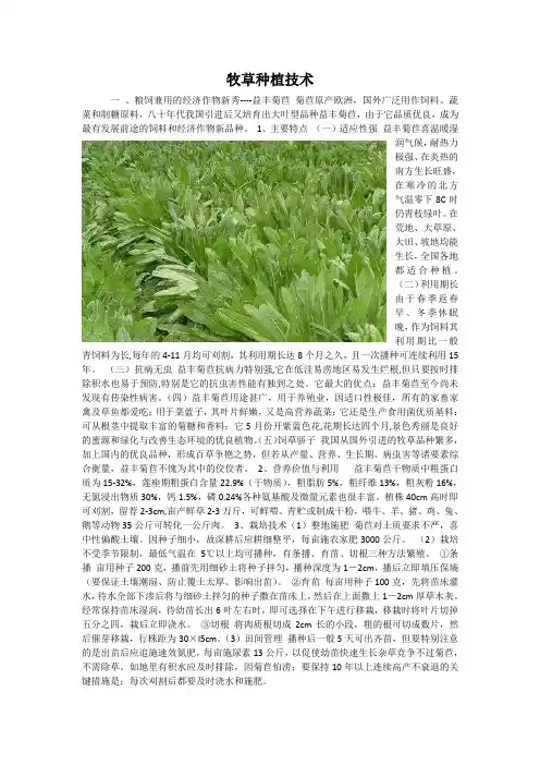 牧草种植技术