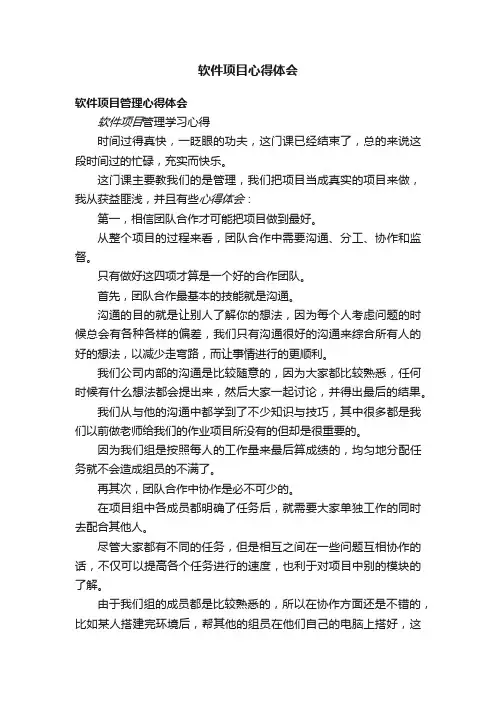 软件项目心得体会