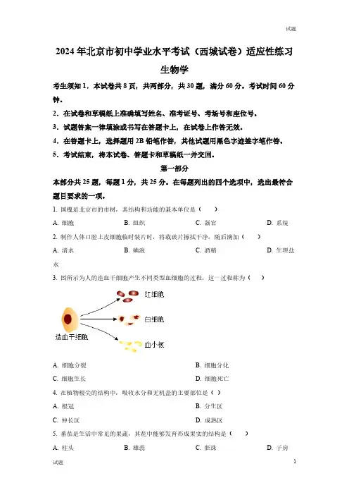 2024年北京市中考生物真题卷及答案解析