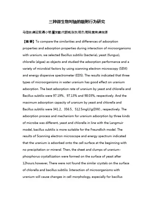 三种微生物对铀的吸附行为研究