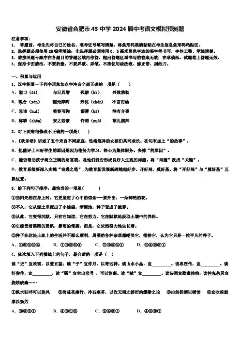 安徽省合肥市45中学2024届中考语文模拟预测题含解析