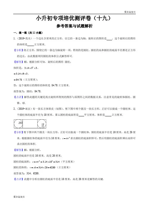 六年级数学小升初专项测评卷(十九)立体图形的认识与测量(二)(解析版)