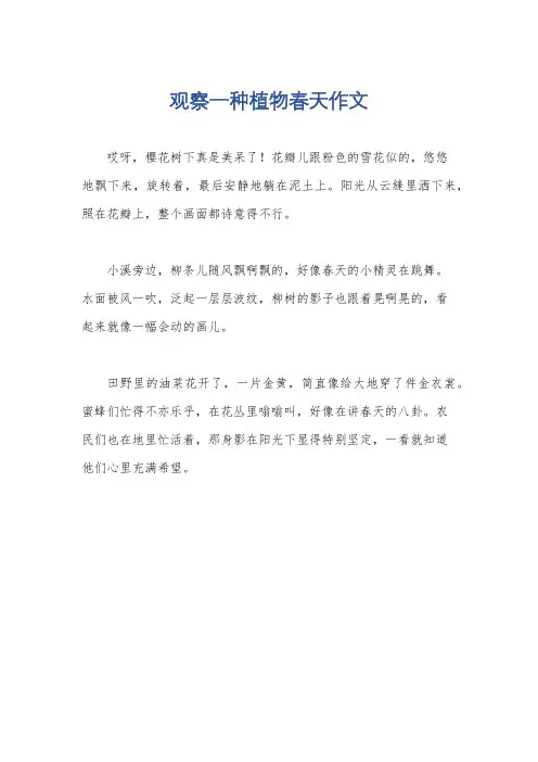 观察一种植物春天作文