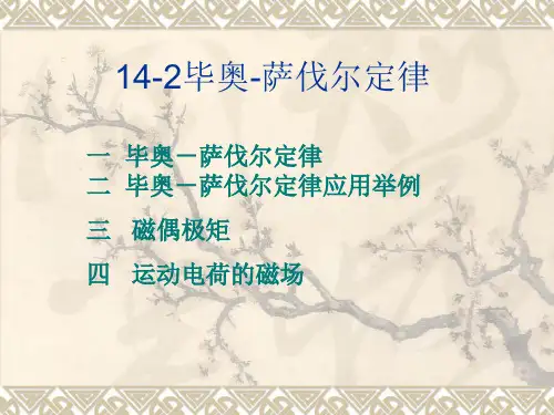 毕奥-萨伐尔定律 (1)