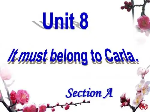九年级英语Unit8_It_must_belong_to_CarlaSectionA2d