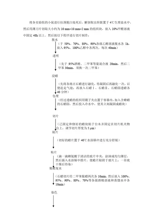 病理切片制作