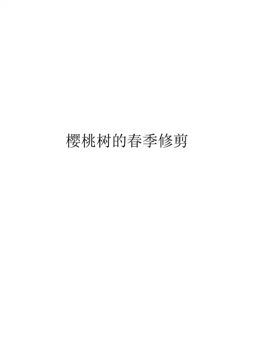 樱桃树的春季修剪