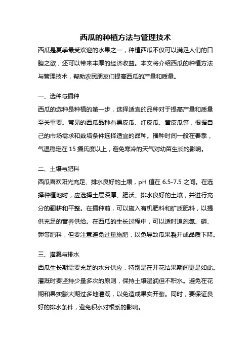 西瓜的种植方法与管理技术