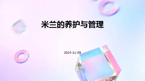 米兰的养护与管理