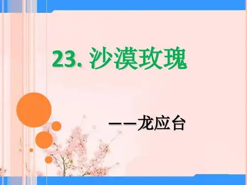 秋西师大版语文六上第23课《沙漠玫瑰》ppt课件5