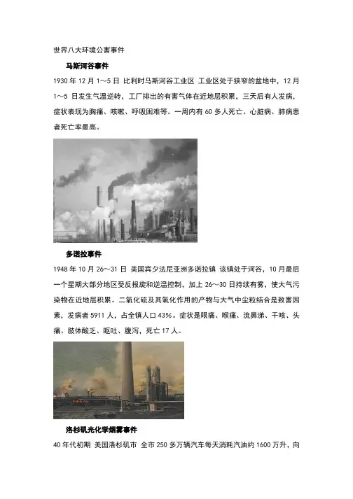 世界八大环境公害事件