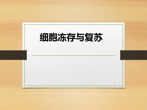 细胞的冻存及复苏PPT课件