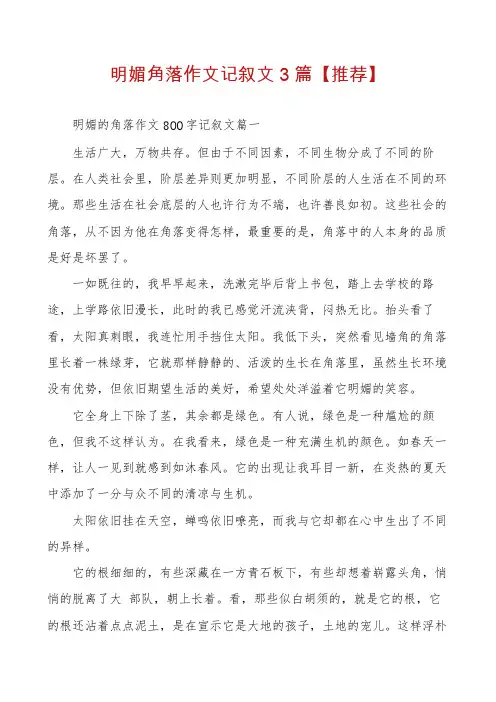 明媚角落作文记叙文3篇【推荐】