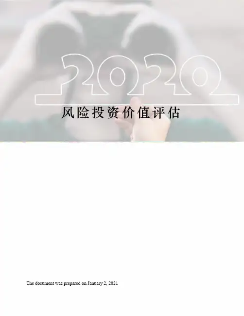 风险投资价值评估