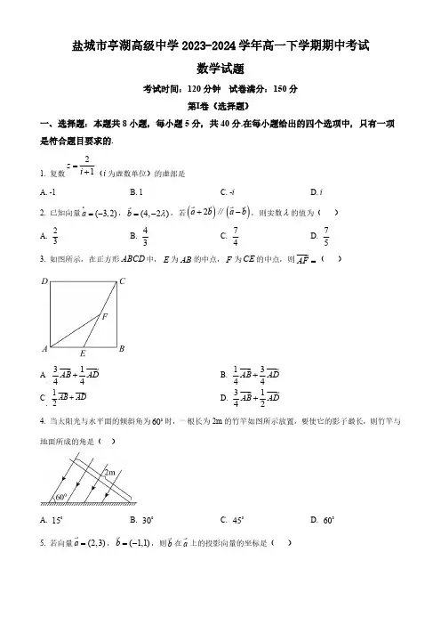 江苏省盐城市亭湖高级中学2023-2024学年高一下学期期中考试数学试题(含答案)