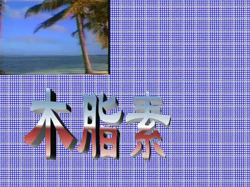 木脂素