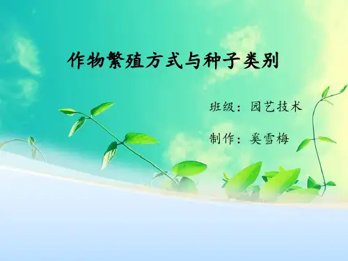 作物繁殖方式及类别-奚雪梅