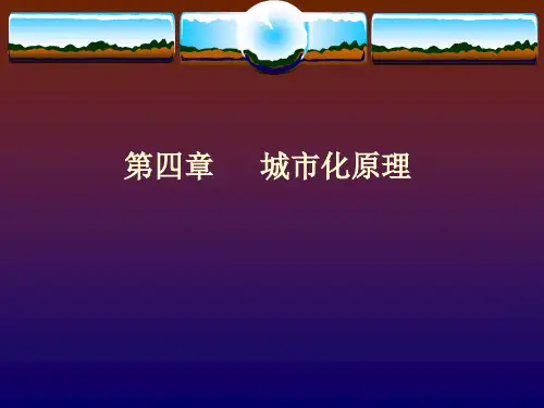 第四章 城市化原理(第四节 城市化的近域推进))