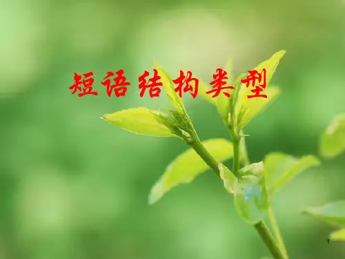 短语结构类型ppt课件