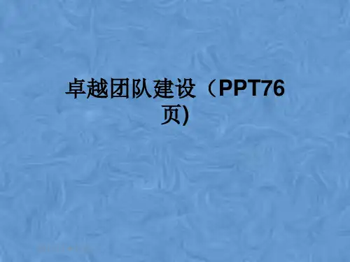 卓越团队建设(PPT76页)