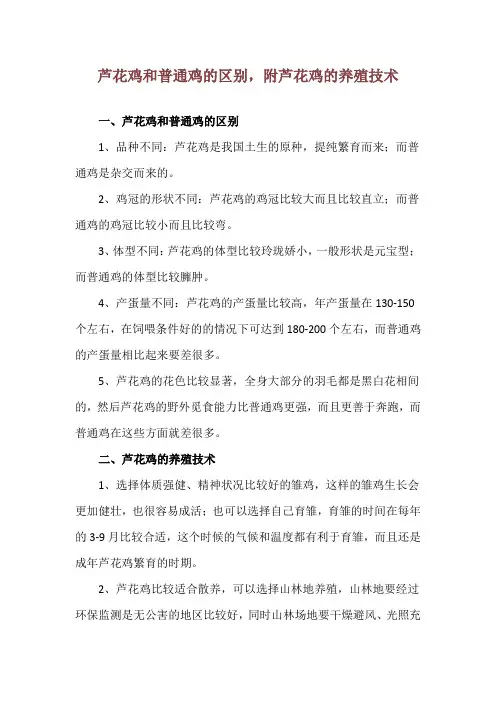 芦花鸡和普通鸡的区别,附芦花鸡的养殖技术