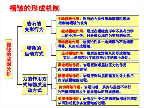 褶皱形成机制