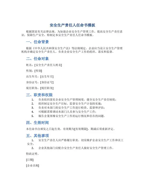 安全生产责任人任命书模板