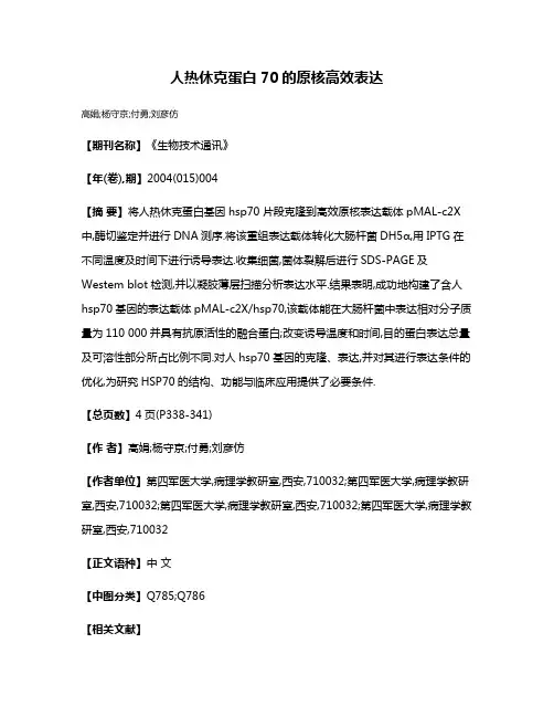 人热休克蛋白70的原核高效表达