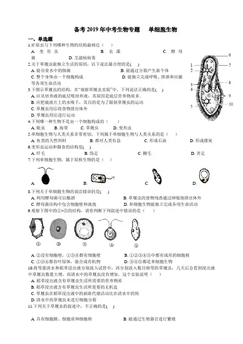备考2019年中考生物专题复习——单细胞生物(解析版)