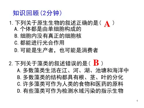北师大版八年级生物下册2231植物的主要类群(第一课时)课件