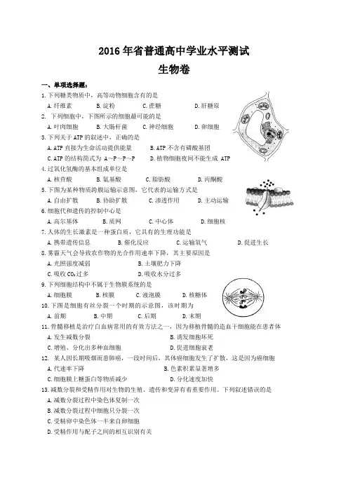年江苏省生物学业水平测试汇总